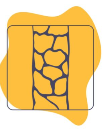 low porosity cuticle layers tightly closed 