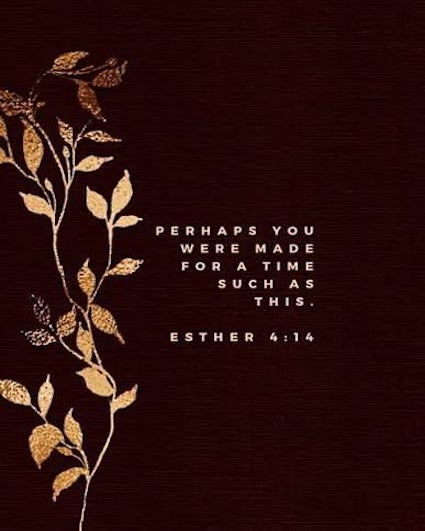 Esther 4:14 "...such a time as this." via pinterest